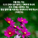 샬롬 이미지