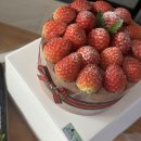 뉴갈채노래연습장 | 덜 사랑하면 덜 슬플 줄 알았는데