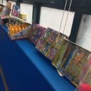 용인대 수 합기도 이미지