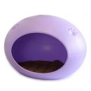 보라애견 이미지