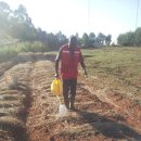 김요한농장 이미지