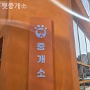 강아지정류장 이미지