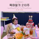 능동꿈맞이어린이집 | [공지] 육아일기 210주 어린이집 생활 5살 생일파티 블로그 모두의회고