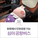 합성동371 | [여행꿀팁] 창원에서 인청공항 가는 심야버스 후기
