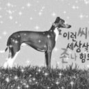 코코힐즈