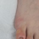 치유네일레푸스양재점 이미지