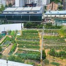 그랜마스 경기 광주 브런치 카페 <b>그랜마스</b> 애견 동반 가능한 대형카페