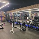 루이 짐 이미지