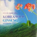 산삼정 이미지