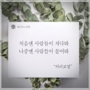 TP교정치과기공소(부산지점) | 앵사마 저렴하게 부담없이 진행할 수 있는 효과적인 교정진료