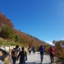 크로스핏짐클래식 이미지