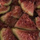 일일오커피 | [20주차] 당뇨 올 거 같은 과일 쟁이의 하루🍇🍓🍎🍊🥭🫐