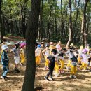 자비유치원 이미지