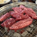 탄천한우