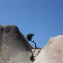 단대오거리역 3번출구 앞 이미지