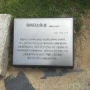 내 손안의 모바일아트 | 아이들과 가기 좋은 여수예술랜드 체험 프로그램 트릭아트&amp;미디어아트 솔직후기(feat. 애견동반 여부)