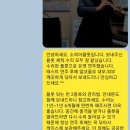소피아플룻수리 이미지