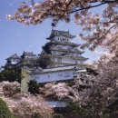 일본여행 17번 갔다온 락싸백수의 일본도시별 느낌 및 팁 (브금) 이미지