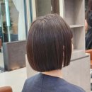 순수클리닝 | 판교 미용실 순수 더블트리 힐튼 판교점 분당 미용실 복구펌 커트 후기