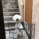 양산독케어2 이미지