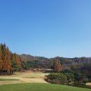 DRK골프아카데미 이미지
