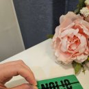 비건 향수 찾다가 만난 노우라이 배러 댄 퍼퓸 바디 스프릿 아일레이 솔직 후기
