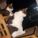 윤성전자 이미지