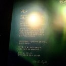 씨더룸