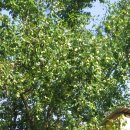 청솔당구장 이미지