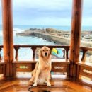 풀하우스펜션 이미지