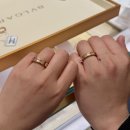 에센셜 | W.5 웨딩밴드 졸업 불가리 비제로원 에센셜 구매 후기