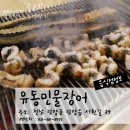 유동민물장어