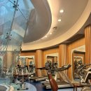 호텔 펠리체 | [호텔헬스장] 비발디파크 소노펠리체 피트니스센터 이용후기