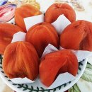빙산골농원