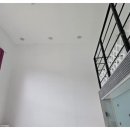 딩동댕애견스파풀빌라 이미지