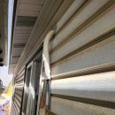 콘테이너목장 이미지