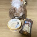 무인67 | 광주 24시 강아지 고양이 무인매장 내돈내산 [도그마캣 상무점] 방문 후기🐶🤍