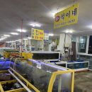고성 횟집 추천: 석이네( 봉포항 횟집타운 내)