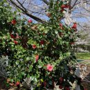 쉬멍 놀멍 자멍 이미지