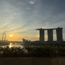 럭셔리 뷰(view)모텔 | [싱가포르] 더 풀러턴 호텔 마리나베이뷰룸(Marina Bay View Room)｜5살 아이 &amp; 6개월 임산부 숙박 후기