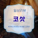 찐펜션 | 대부도감성숙소 코삿, 서울근교펜션 중 유일하게 재방문 각 나온 곳