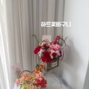 플레르비플라워