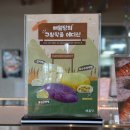 양산대로 | 양산 대형카페 추천 해월당 호포점 방문 후기