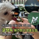 서울근교 애견동반 1박 2일 여행, 영흥도 애견동반 펜션 [글램독] 103호 솔직후기