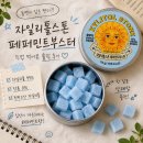 페퍼민트 | 자일리톨스톤 페퍼민트부스터 후기