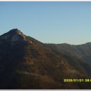 일출상사 이미지