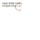 멋진 고양이 이미지