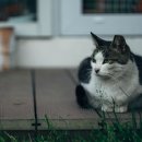 솔밭예술마을 이미지