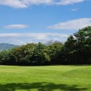 뉴코리아 이미지