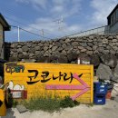 제주 트윈즈 이미지